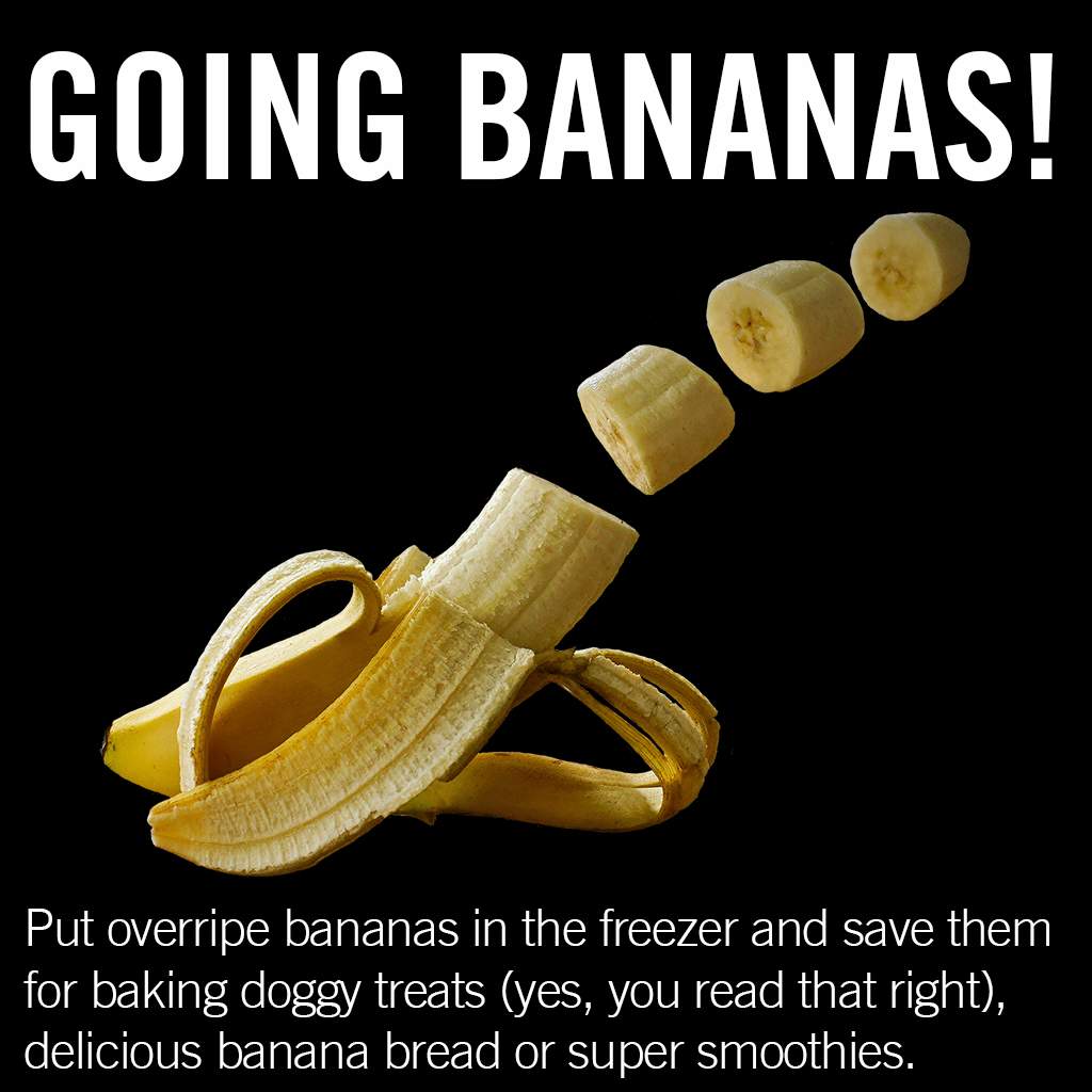 Put overripe bananas in the freezer and save them for baking doggy treats, delicious banana bread. or super smoothies.